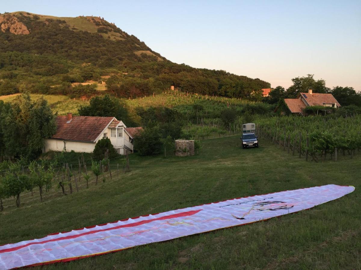 Csobanc Szerelem-Nemzeti Park-Oenallo Haz - Klimatizalt Gyulakeszi Buitenkant foto