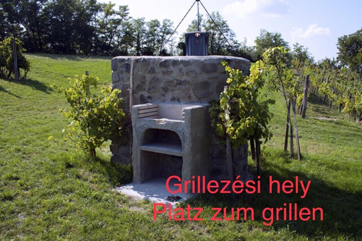 Csobanc Szerelem-Nemzeti Park-Oenallo Haz - Klimatizalt Gyulakeszi Buitenkant foto